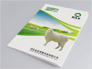 河北金宏清真肉類公司畫冊設計案例圖片