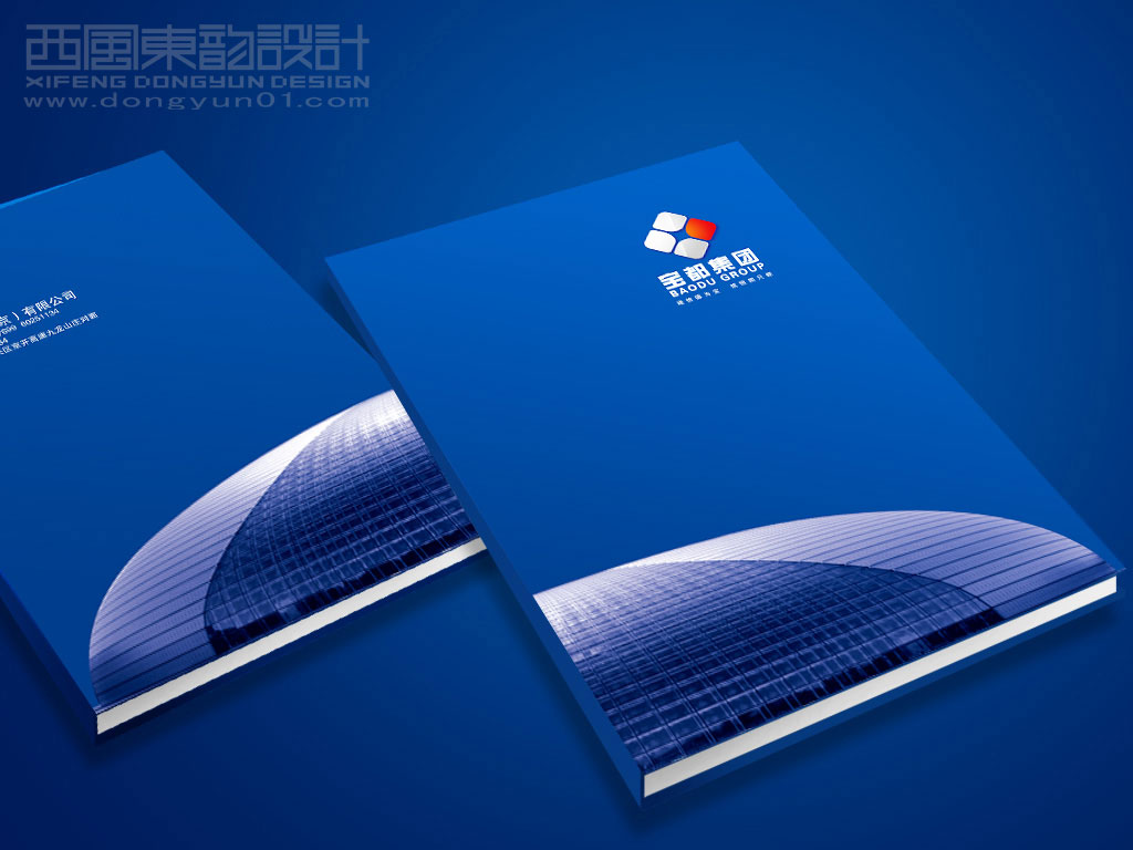 寶都鋼結(jié)構(gòu)集團(tuán)公司畫(huà)冊(cè)封面設(shè)計(jì)
