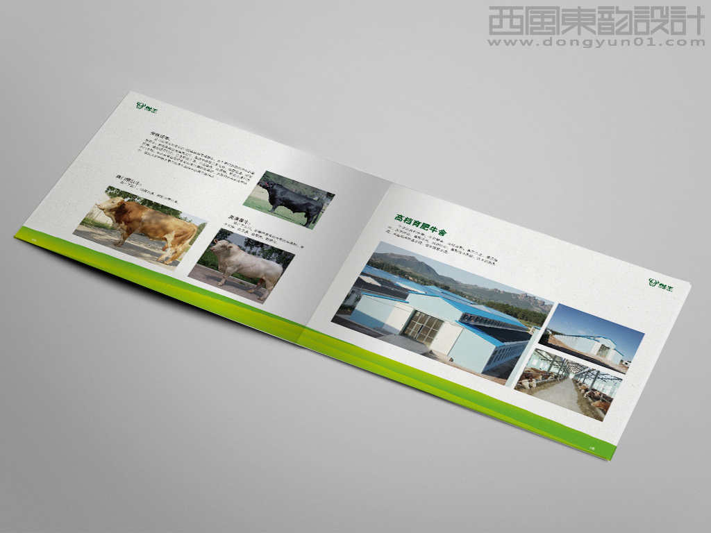 遼寧宏達(dá)牛業(yè)發(fā)展有限公司悅牛品牌畫冊(cè)育牛舍內(nèi)頁(yè)設(shè)計(jì)