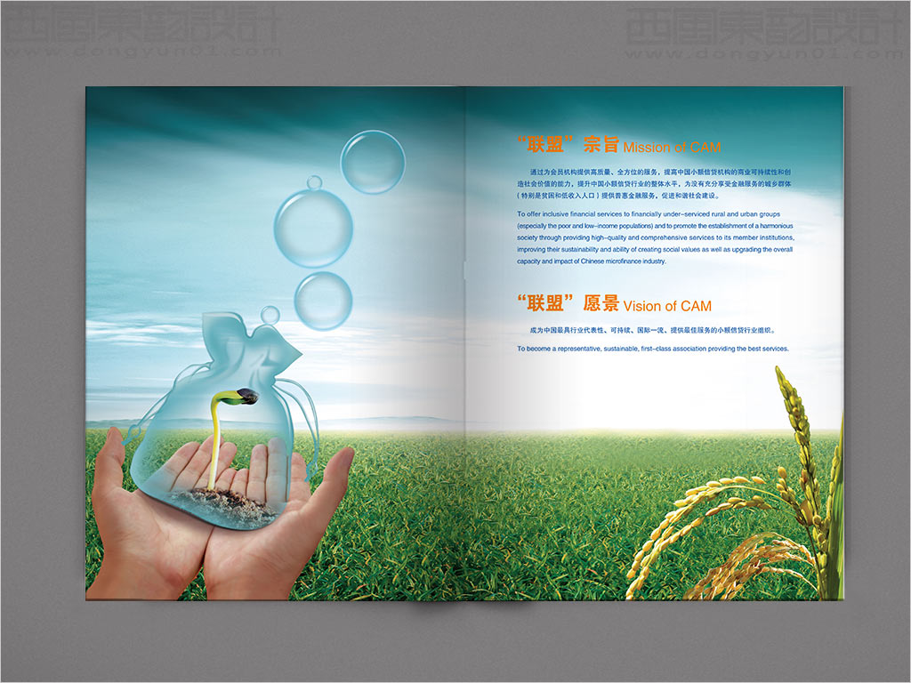 中國(guó)小額信貸聯(lián)盟年報(bào)設(shè)計(jì)之聯(lián)盟宗旨、愿景內(nèi)頁設(shè)計(jì)