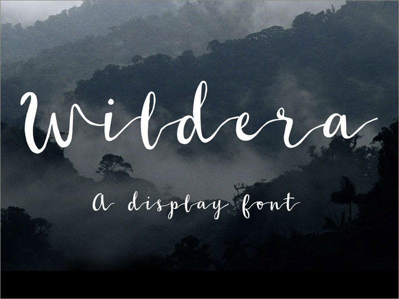 書法字體設(shè)計特點 書法字體設(shè)計特點