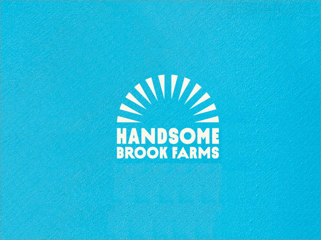 美國(guó)布魯克農(nóng)場(chǎng)雞蛋品牌logo設(shè)計(jì)