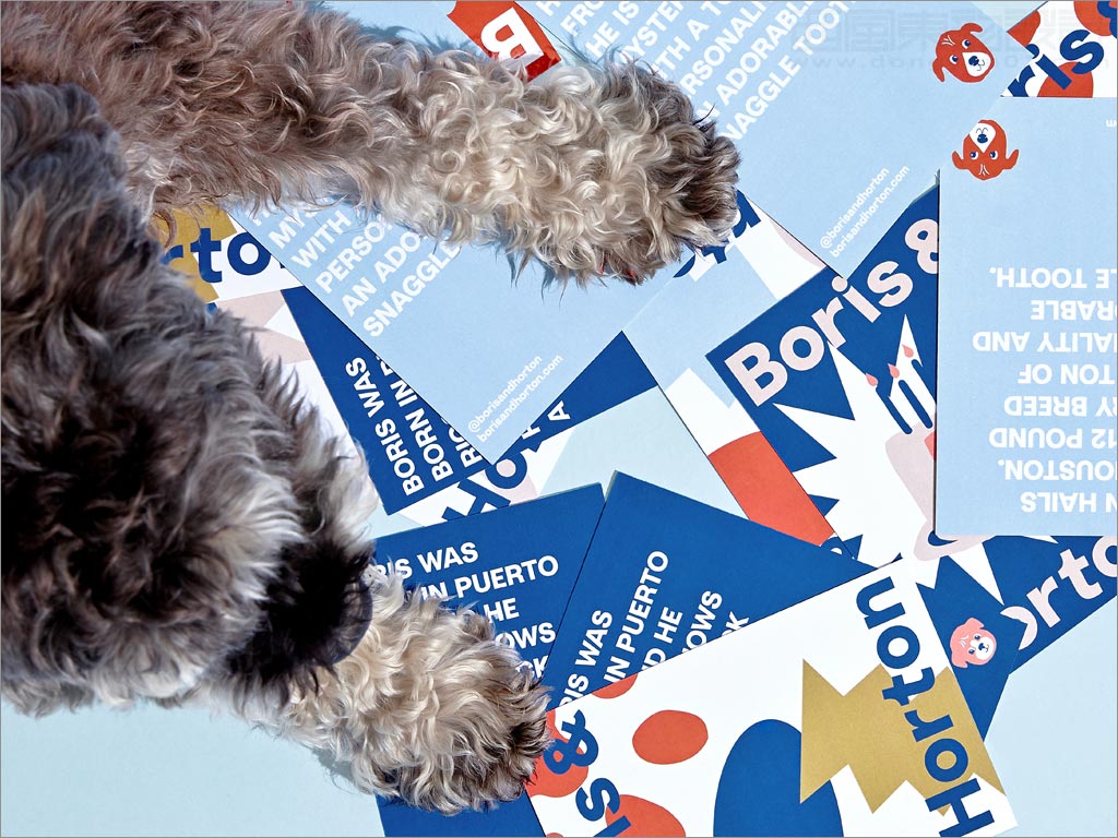 美國Boris＆Horton寵物用品宣傳彩頁設(shè)計(jì)