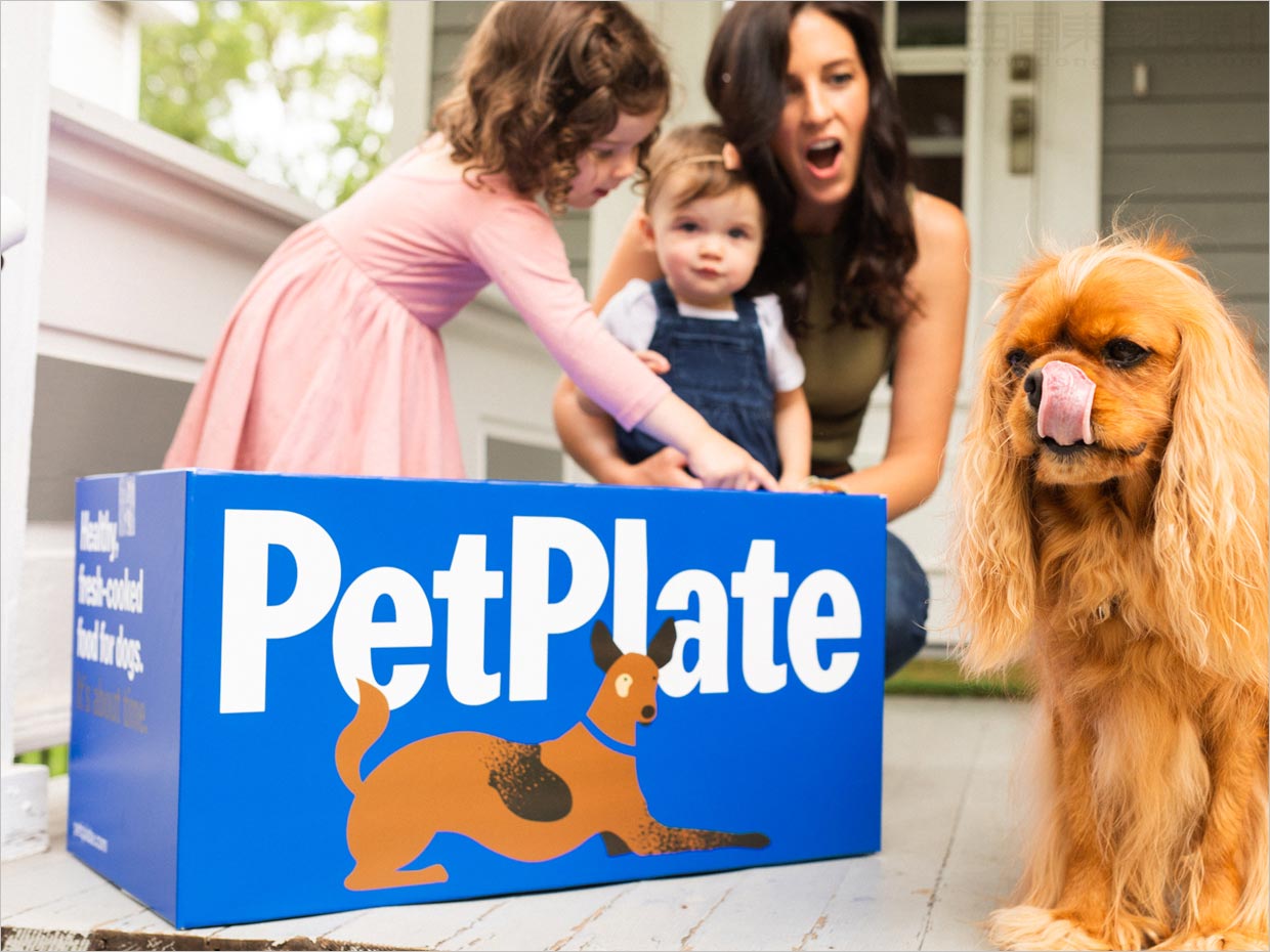 Pet Plate寵物食品包裝設(shè)計之實物攝影照片