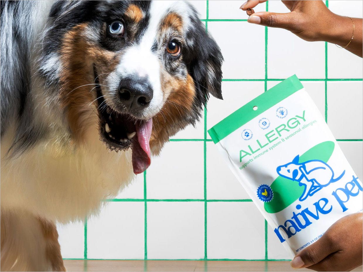 美國Native Pet寵物食品營養(yǎng)保健品包裝設(shè)計