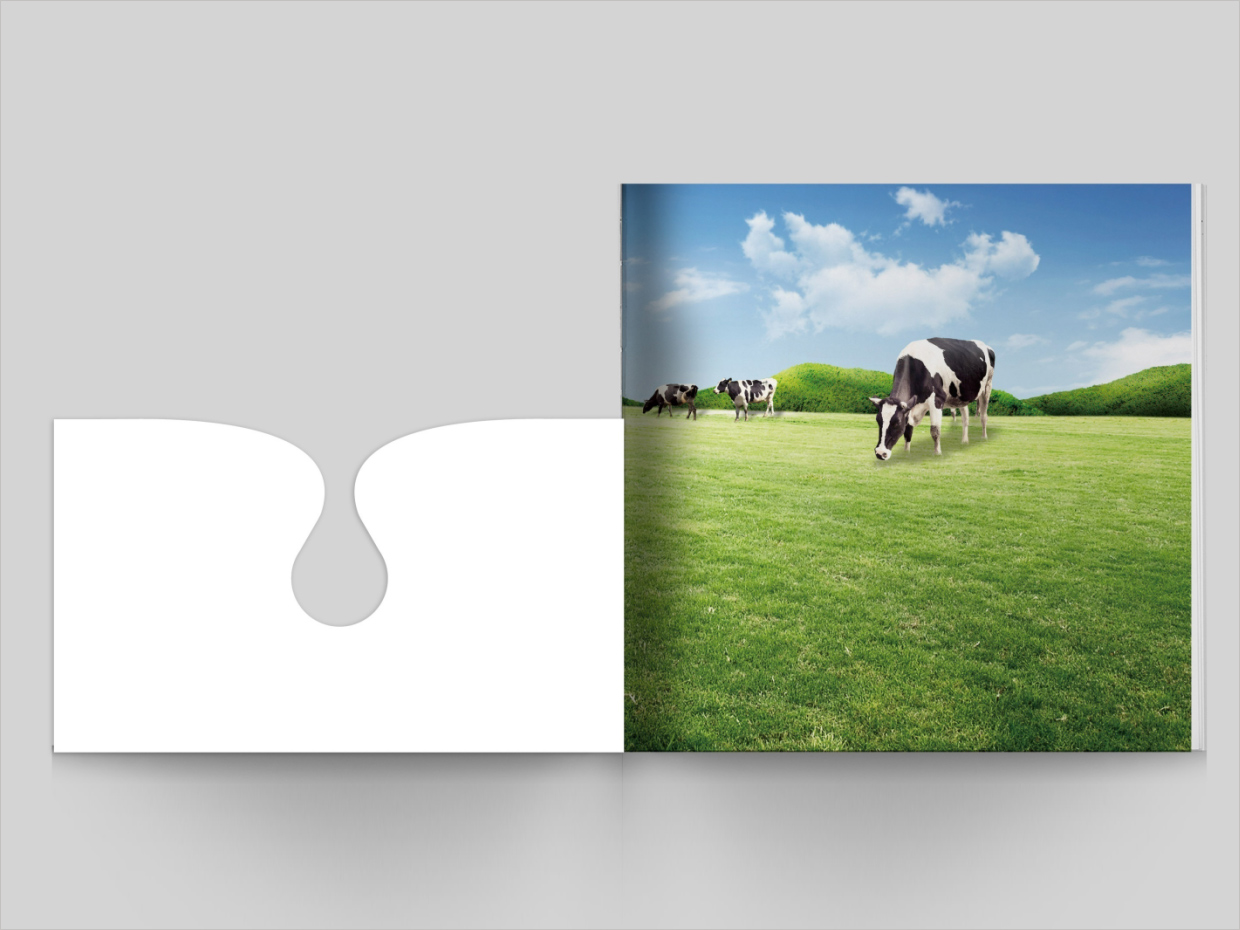 山東得益乳業(yè)股份有限公司畫冊(cè)設(shè)計(jì)之封面工藝展示 山東得益乳業(yè)股份有限公司畫冊(cè)設(shè)計(jì)之封面工藝展示