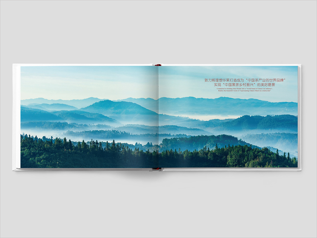 理想華萊科技集團(tuán)公司畫冊設(shè)計之扉頁設(shè)計