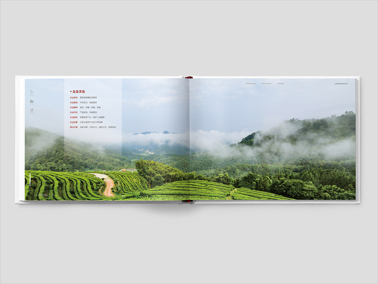 理想華萊科技集團(tuán)公司畫冊設(shè)計之企業(yè)文化頁設(shè)計