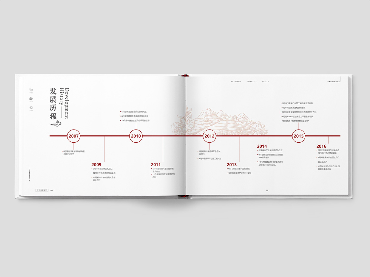 理想華萊科技集團(tuán)公司畫冊設(shè)計之發(fā)展歷程頁面設(shè)計