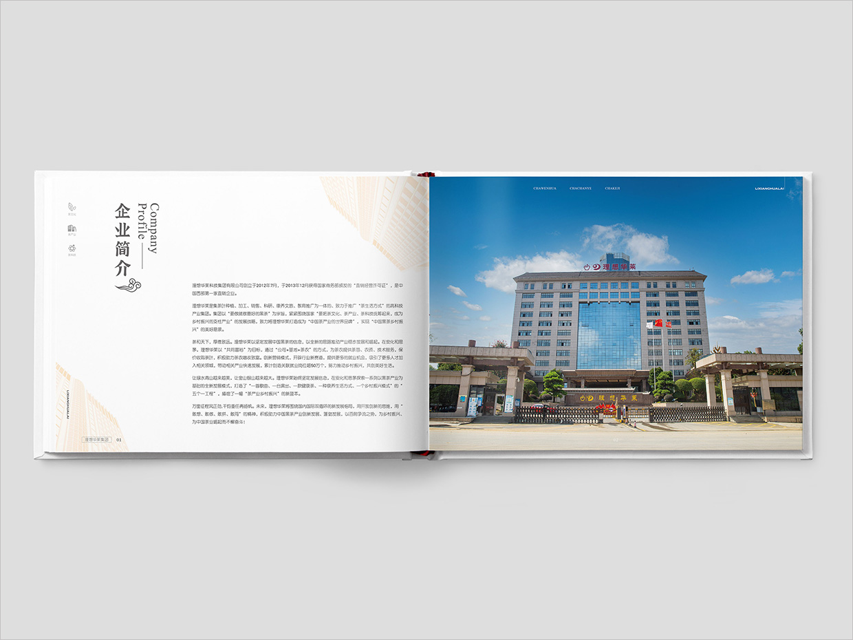 理想華萊科技集團(tuán)公司畫冊設(shè)計之企業(yè)簡介頁面設(shè)計