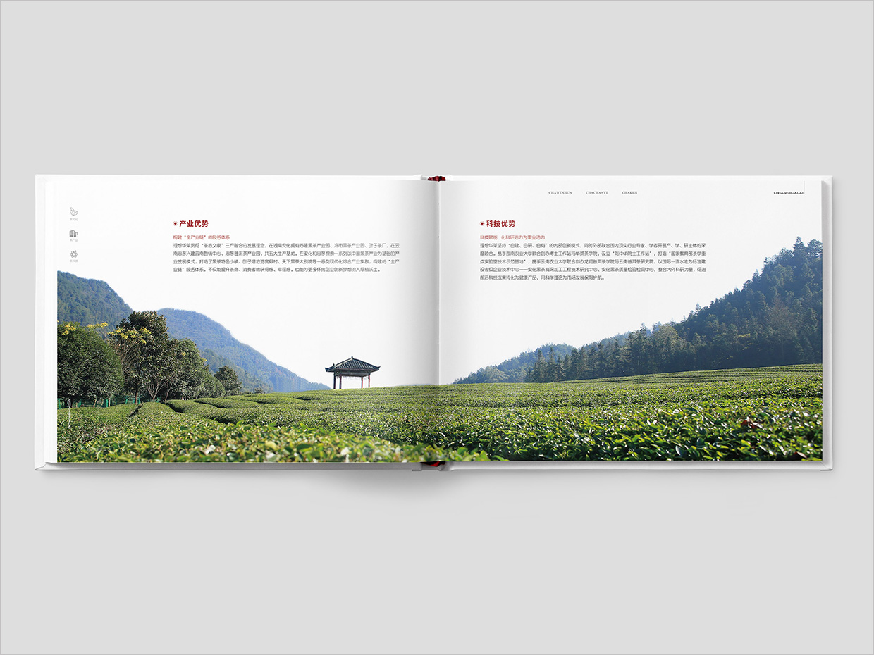 理想華萊科技集團(tuán)公司畫冊設(shè)計之產(chǎn)業(yè)優(yōu)勢頁面設(shè)計