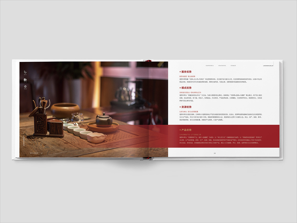 理想華萊科技集團(tuán)公司畫冊設(shè)計之產(chǎn)品優(yōu)勢頁面設(shè)計