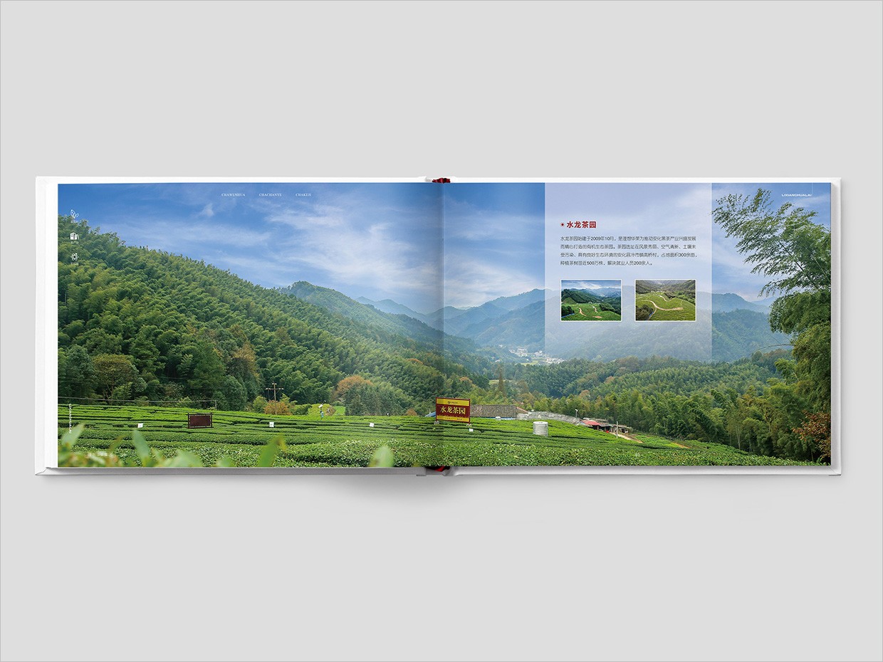 理想華萊科技集團(tuán)公司畫冊設(shè)計之水龍茶園頁面設(shè)計