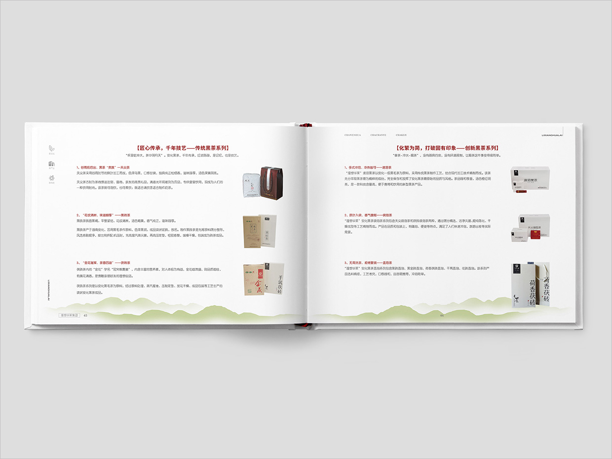 理想華萊科技集團(tuán)公司畫冊設(shè)計之產(chǎn)品介紹頁面設(shè)計